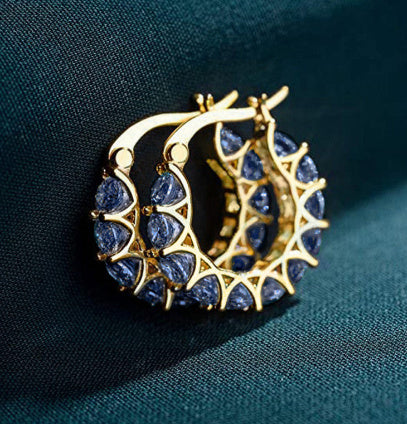 Luxury Zircon & Hoop Earrings