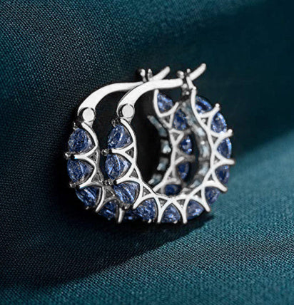 Luxury Zircon & Hoop Earrings
