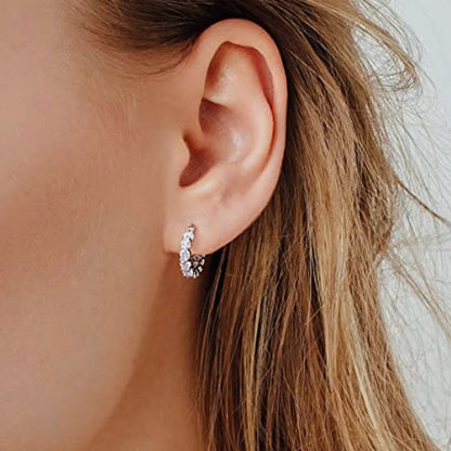 Luxury Zircon & Hoop Earrings