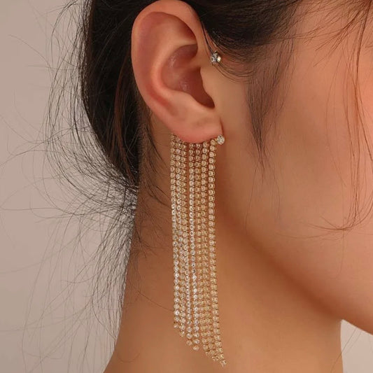 Elegant Long & Tassel Earrings