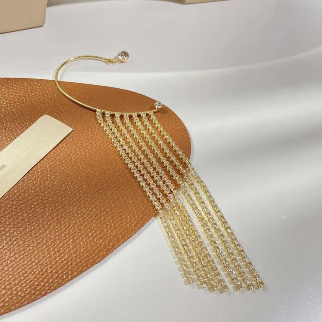 Elegant Long & Tassel Earrings
